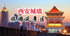 大鸡巴轮流插在线视频中国陕西-西安城墙旅游风景区